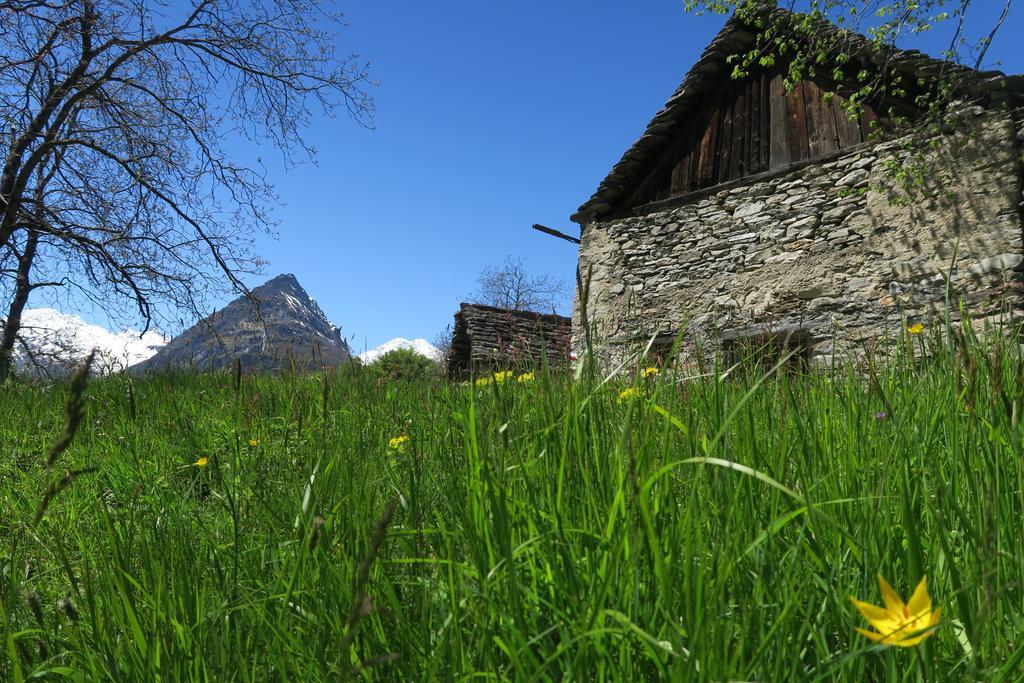 B&B Alpe Veglia Варцо Экстерьер фото