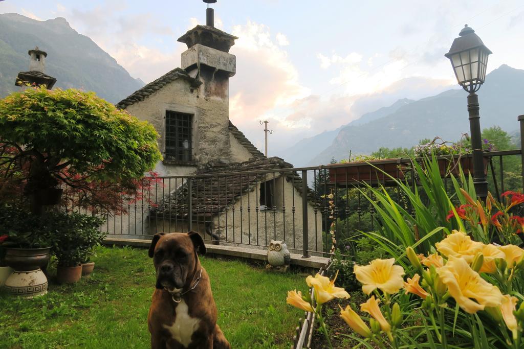 B&B Alpe Veglia Варцо Экстерьер фото