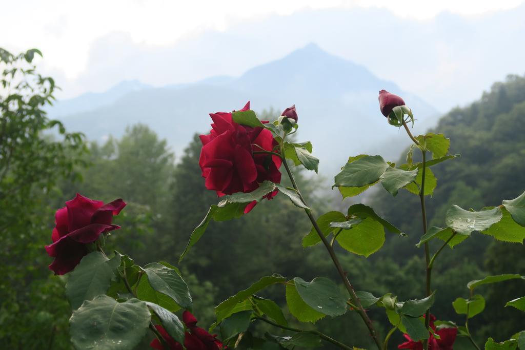 B&B Alpe Veglia Варцо Экстерьер фото
