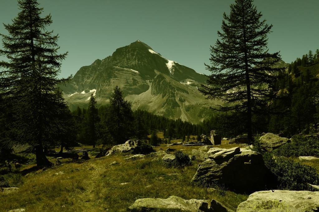 B&B Alpe Veglia Варцо Экстерьер фото