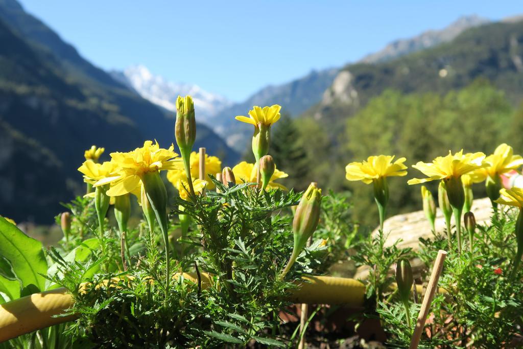 B&B Alpe Veglia Варцо Экстерьер фото