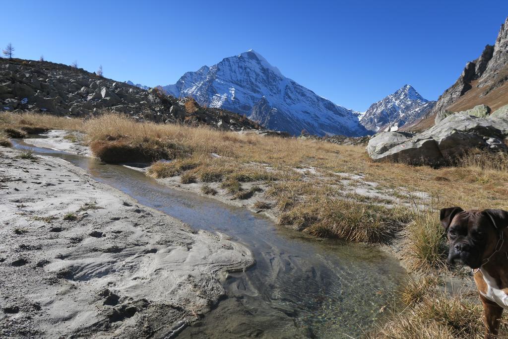 B&B Alpe Veglia Варцо Экстерьер фото