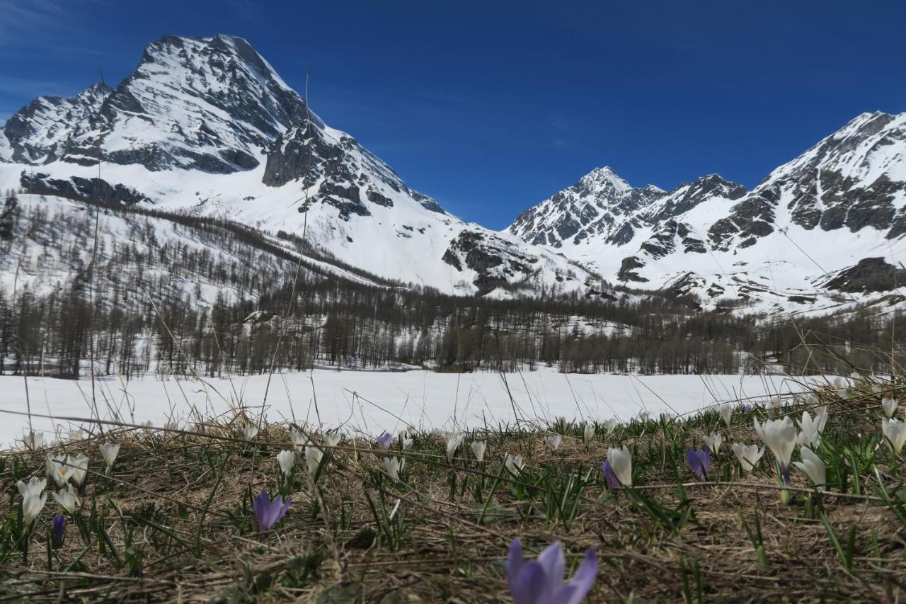 B&B Alpe Veglia Варцо Экстерьер фото