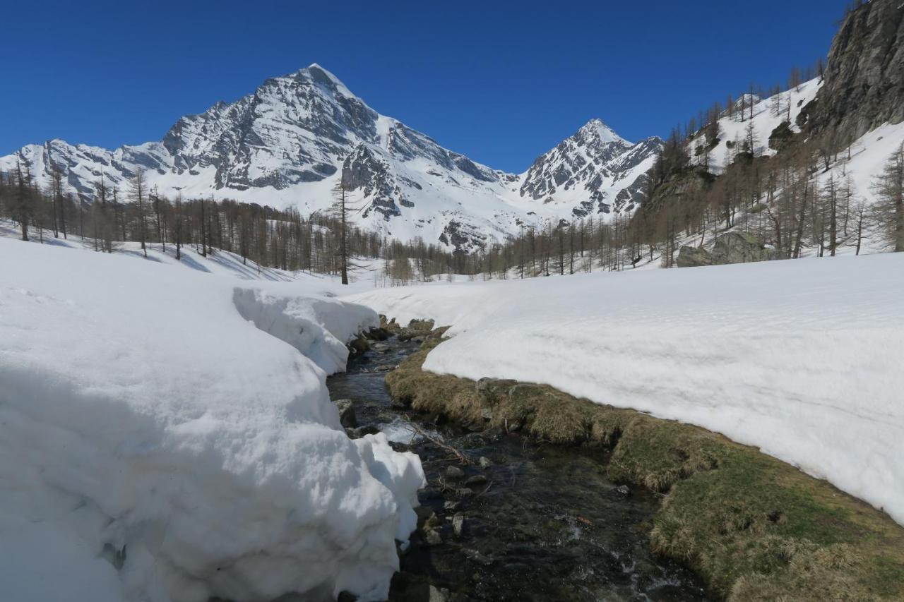 B&B Alpe Veglia Варцо Экстерьер фото